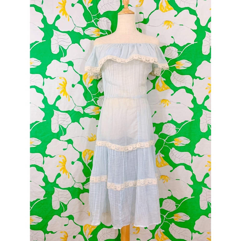 RARE 1950s Sheer Cornflower Blue Night Gown